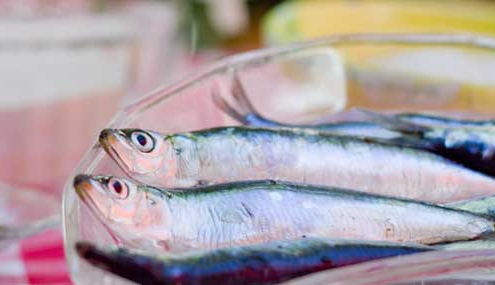 Pescados boqueron