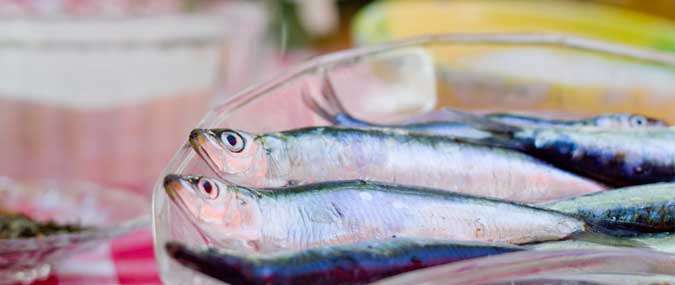 Pescados boqueron